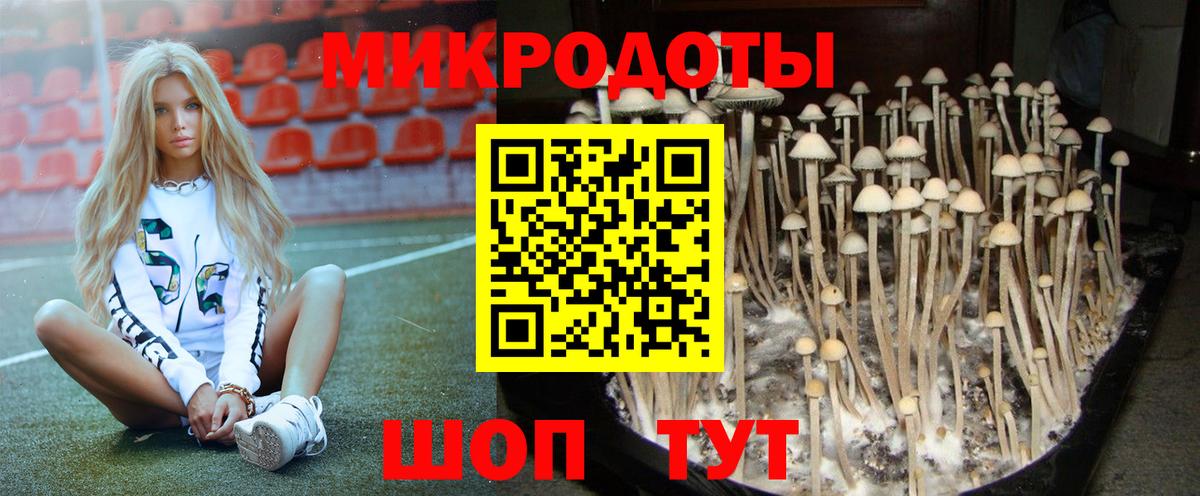 Псилоцибиновые грибы GOLDEN TEACHER  Вход с VPN  Ангарск 