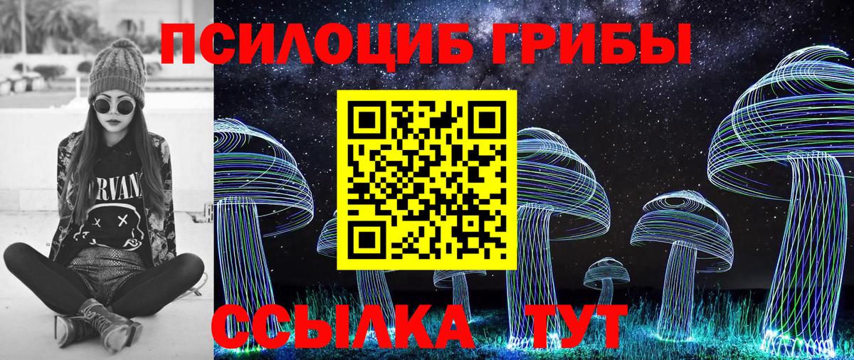Псилоцибиновые грибы Cubensis  Ангарск 