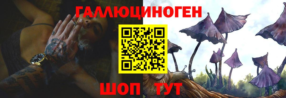 Псилоцибиновые грибы Cubensis Ангарск